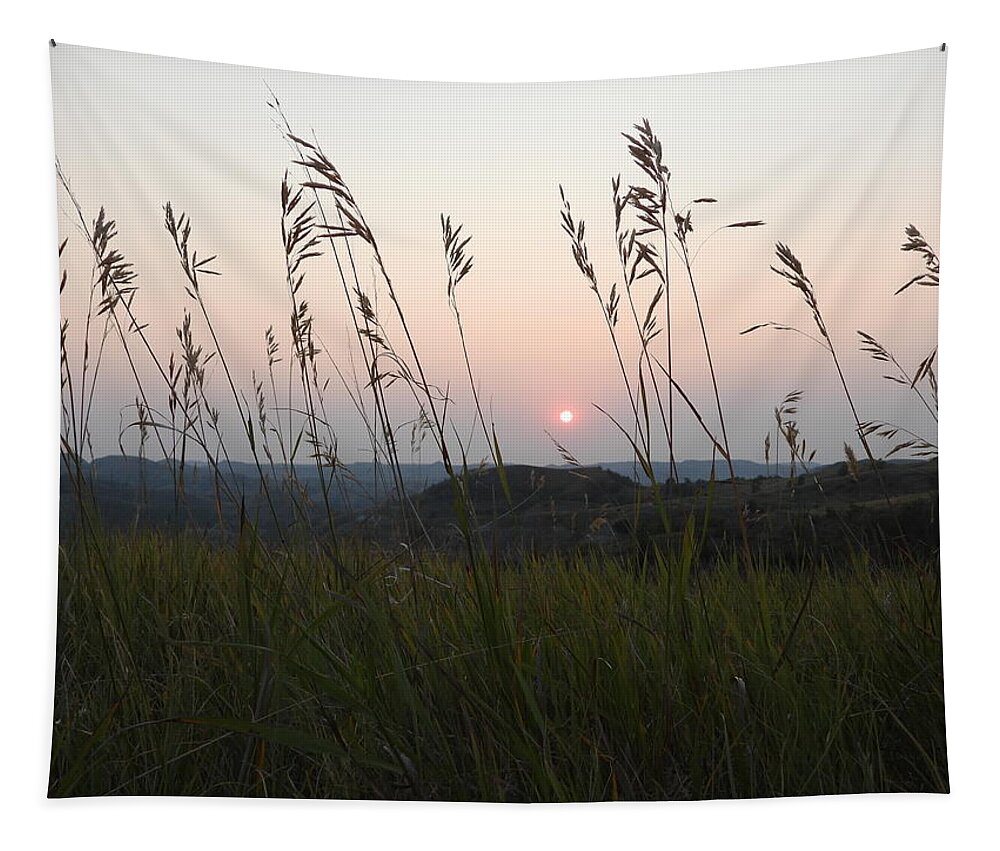 Sunset Tapestry featuring the photograph Sunset Through The Grass by Amanda R Wright