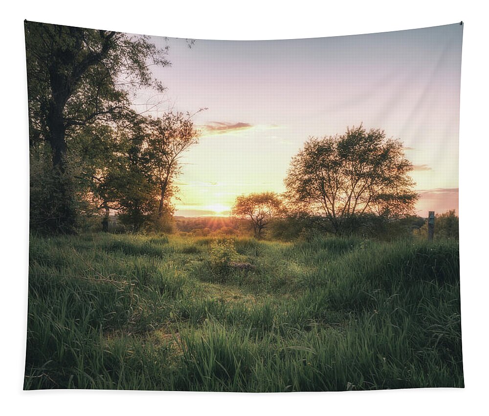 Sunset Tapestry featuring the photograph Sunset Through the Grassy Meadows by Jason Fink