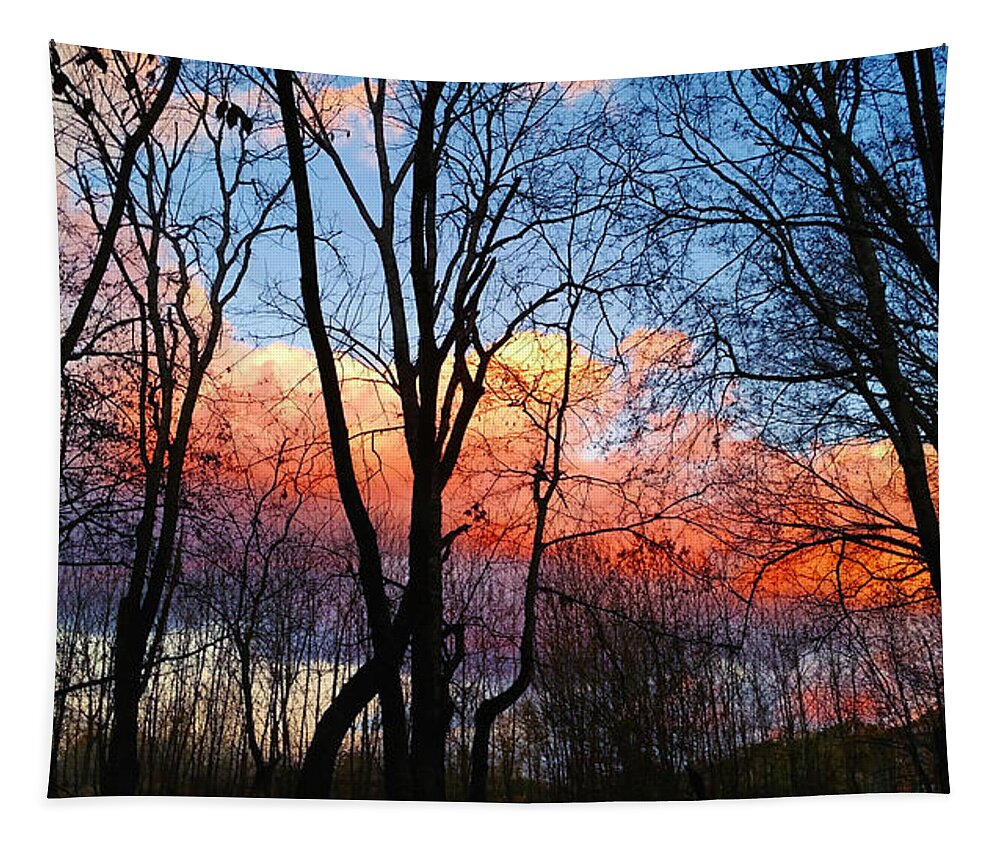 Nature Tapestry featuring the photograph Sunset Through the Woods by Ally White