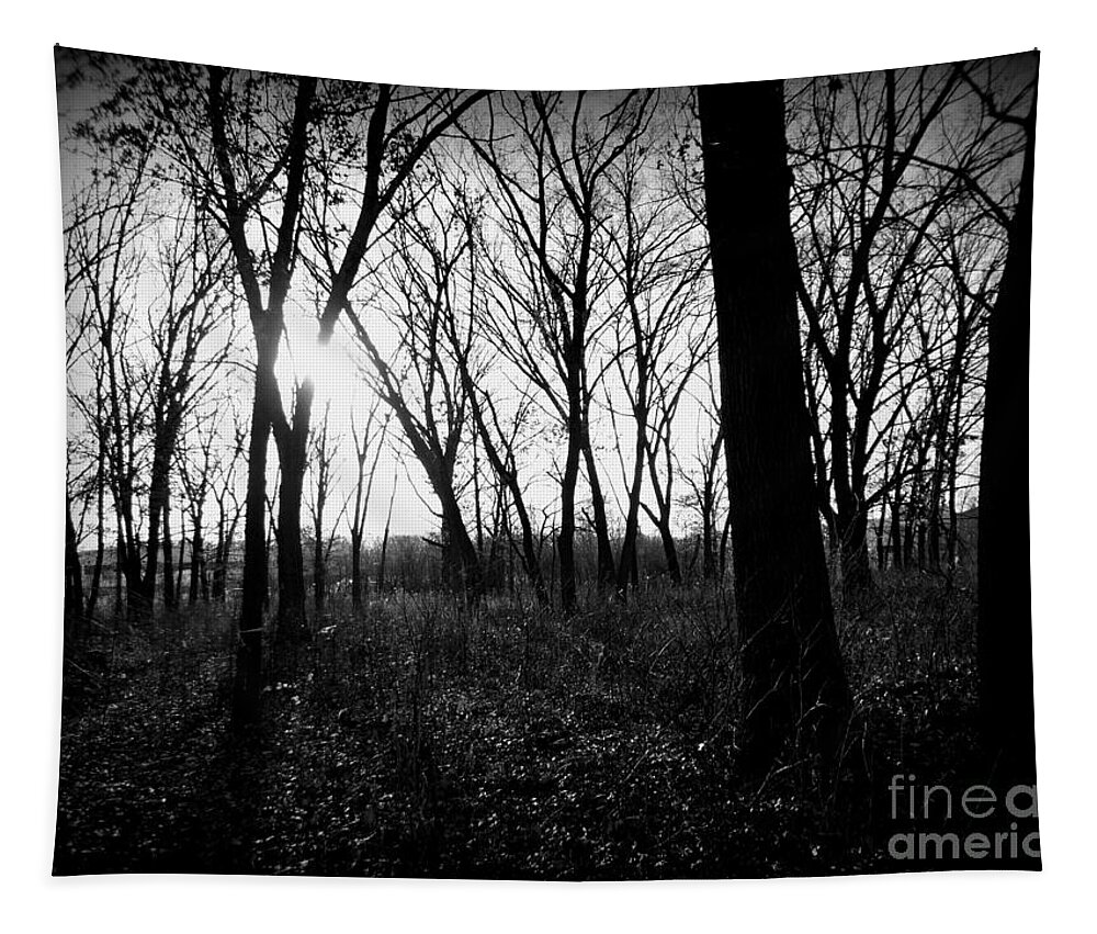Nature Tapestry featuring the photograph Sunset Through The Woods - Black and White - Frank J Casella by Frank J Casella