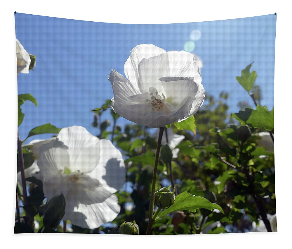Landscape Tapestry featuring the photograph Sunshine and White Flowers by Sharon Williams Eng