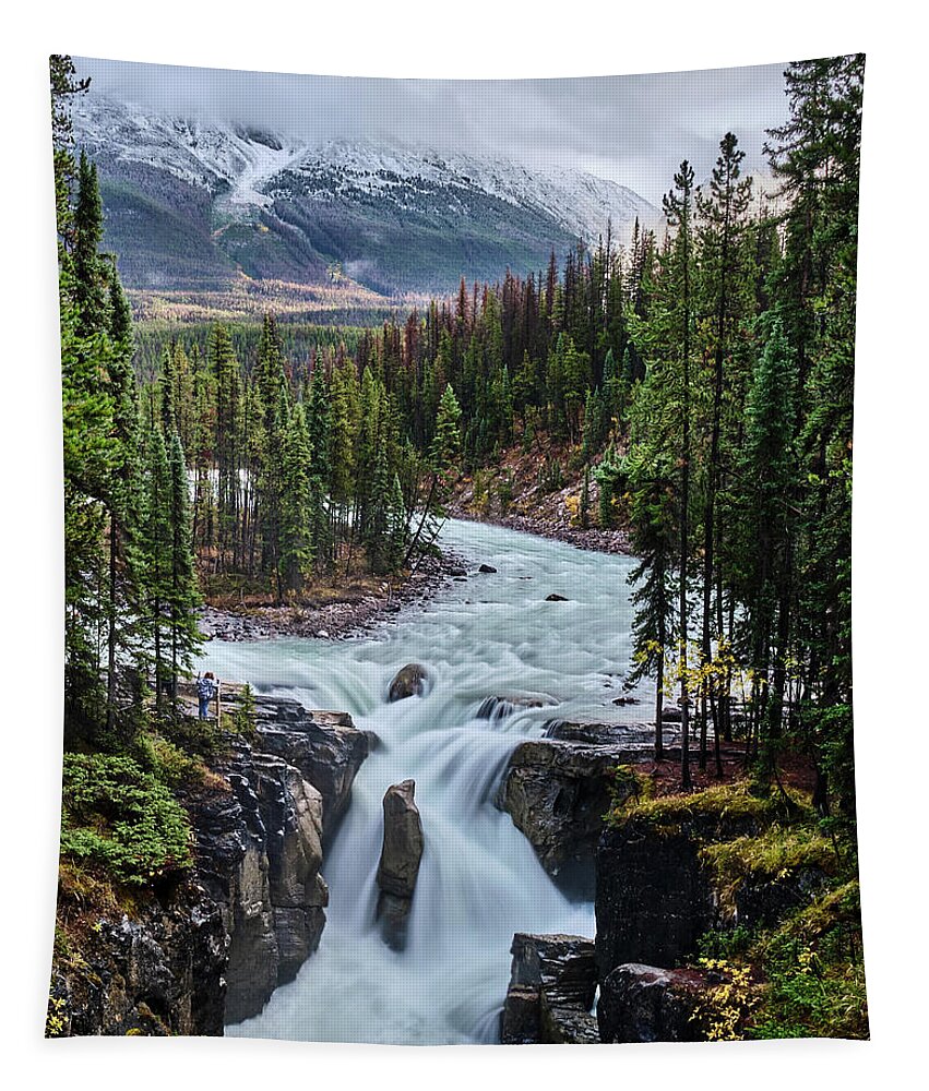 Voyage Jasper Banff 2021 Tapestry featuring the photograph Sunwapta Falls Jasper by Carl Marceau