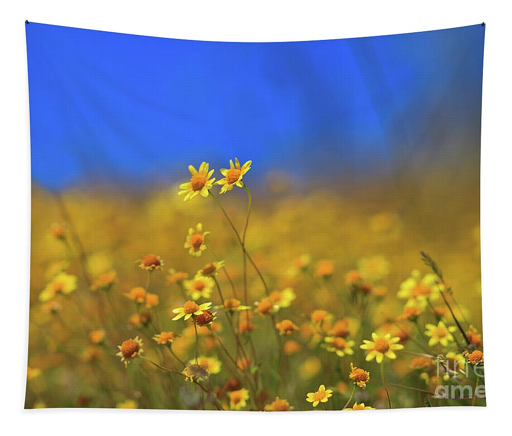 Poppies Tapestry featuring the photograph Super Bloom Bokehlicious at Diamond Valley Lake by Sam Antonio