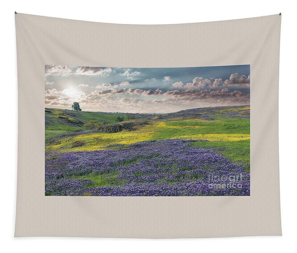 Superbloom Tapestry featuring the photograph Wildflower Super Bloom by Lisa Billingsley