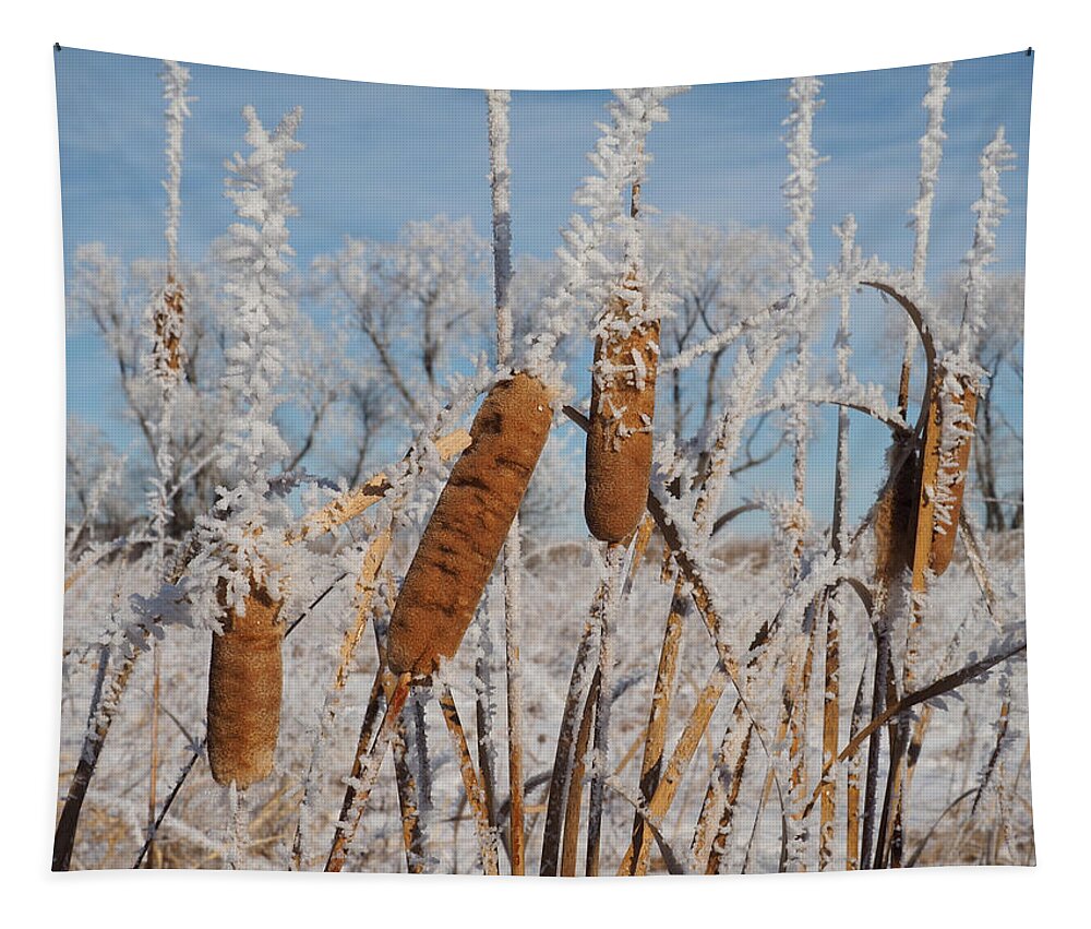 Rime Ice Tapestry featuring the photograph Super Cool Rime Ice by James Peterson