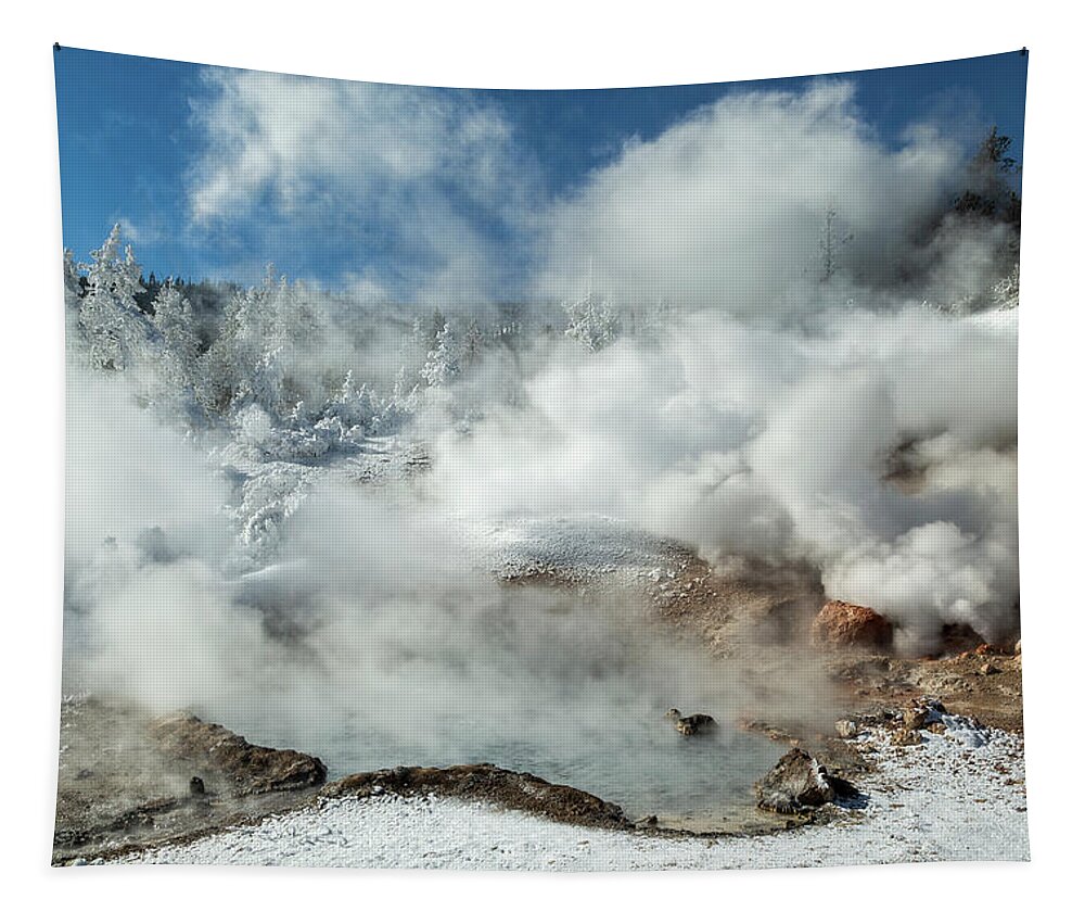 Yellowstone National Park Tapestry featuring the photograph Superheated by Ann Skelton