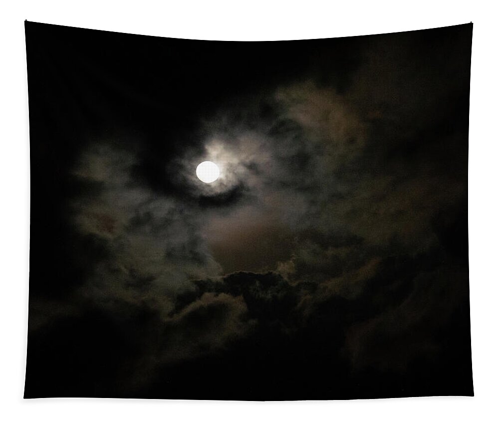 Supermoon Tapestry featuring the photograph Supermoon on the Mississippi by Susie Loechler