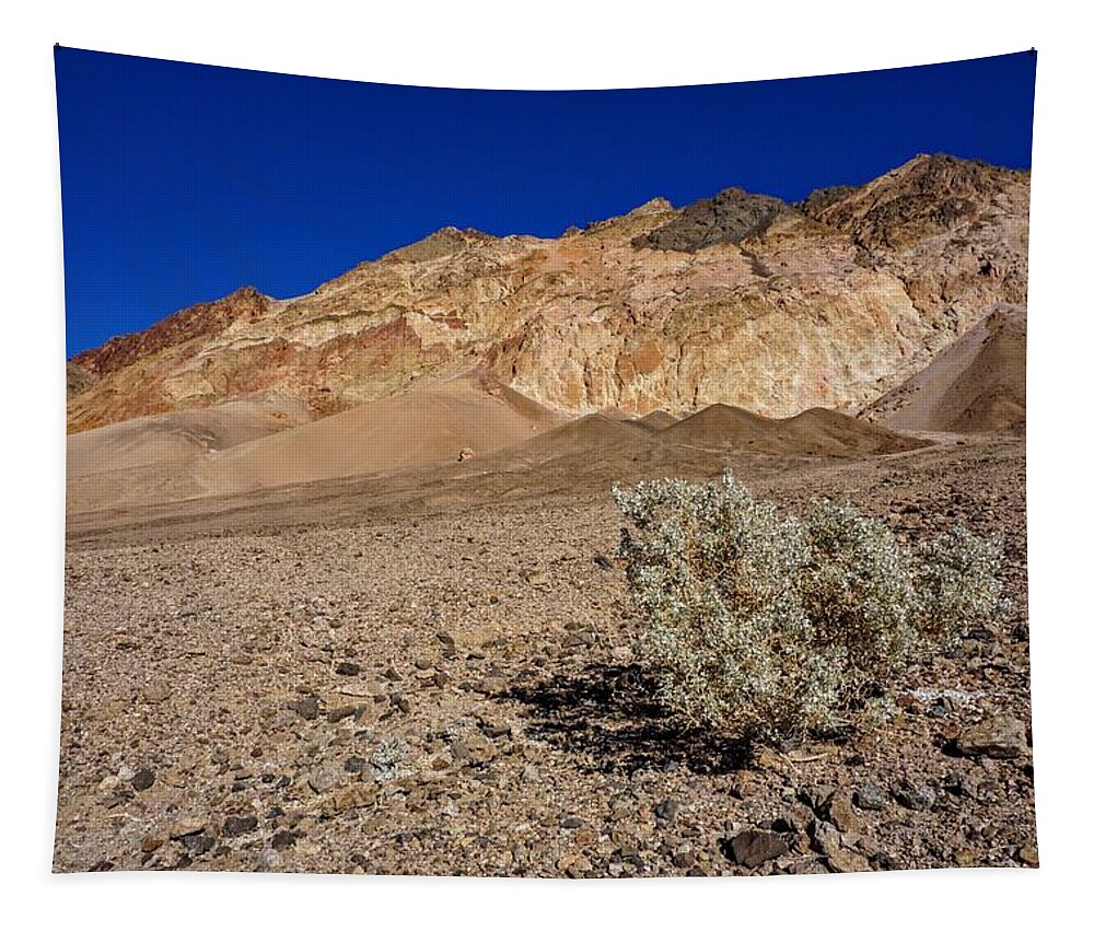 Death Valley Tapestry featuring the photograph Death Valley Survivor by Brett Harvey