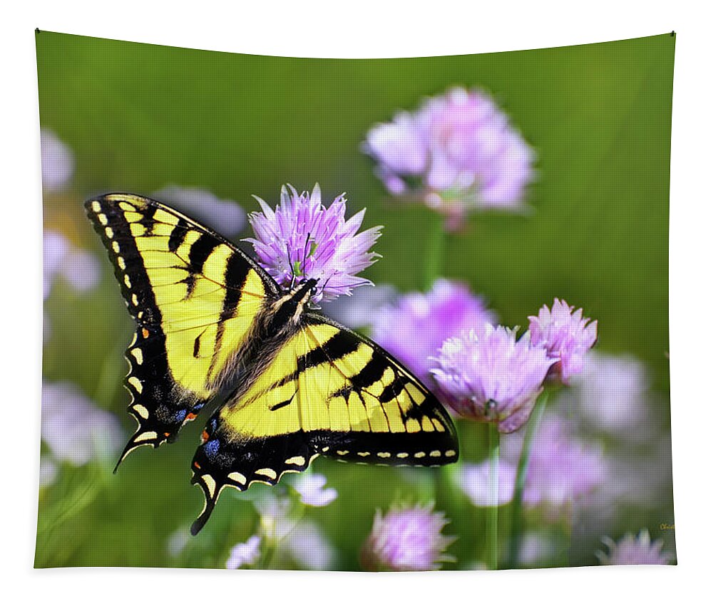 Swallowtail Butterfly Tapestry featuring the photograph Swallowtail Butterfly Dream by Christina Rollo