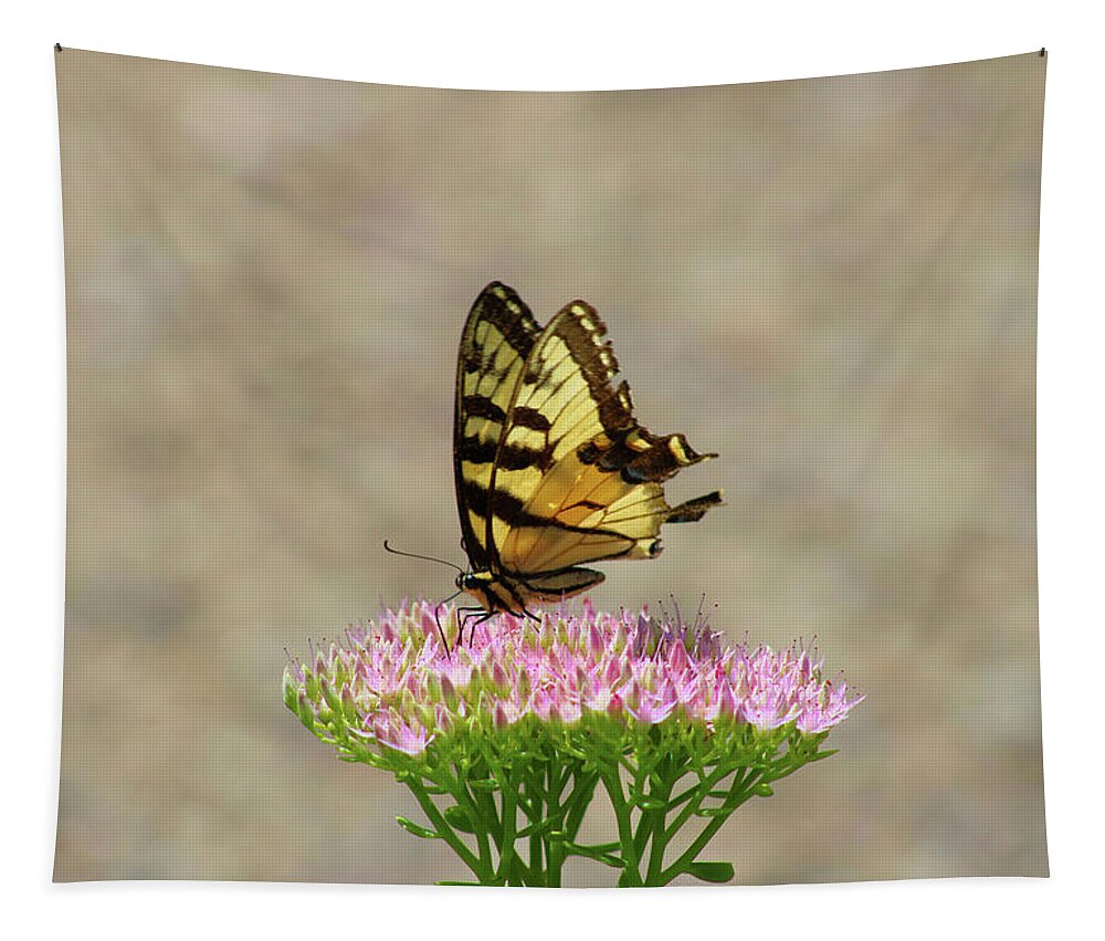 Swallowtail Tapestry featuring the photograph Swallowtail Butterfly Endures by Christopher Reed