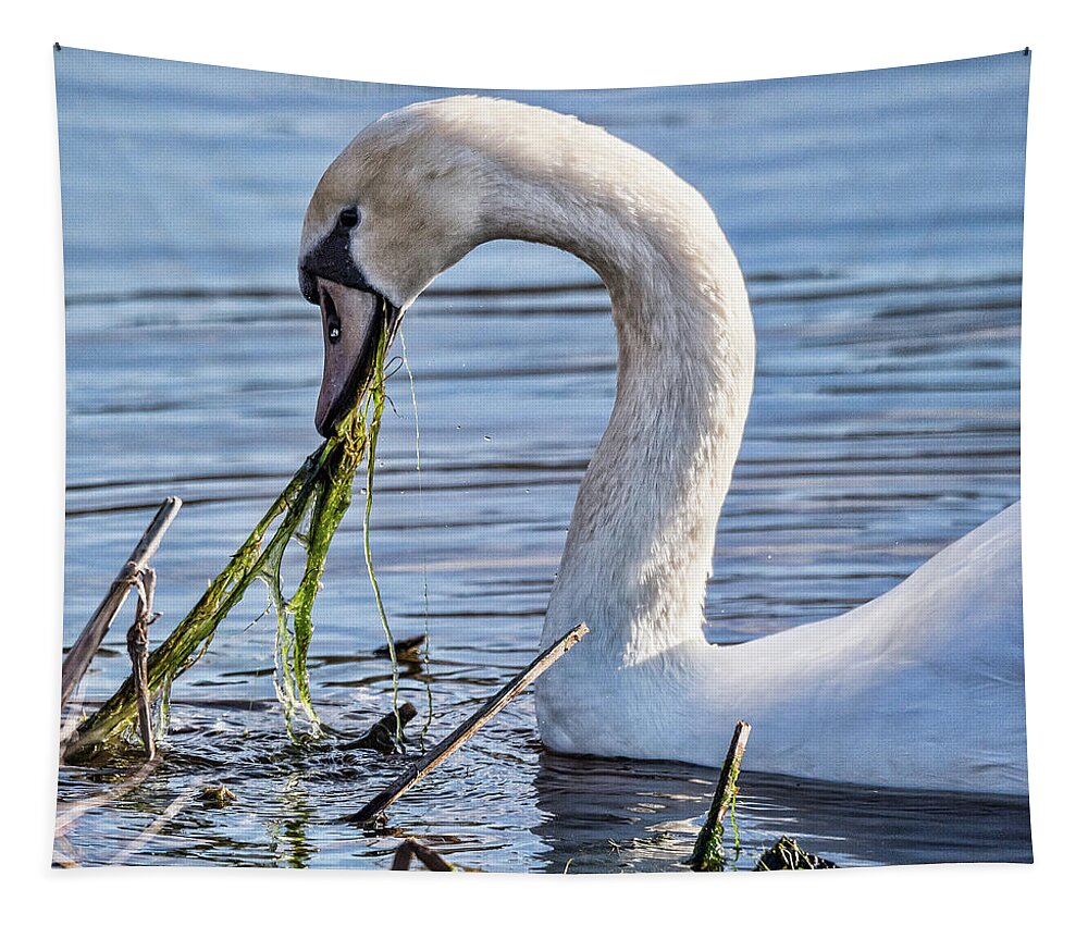 Swan Tapestry featuring the photograph Swan At Lunch by Joe Granita