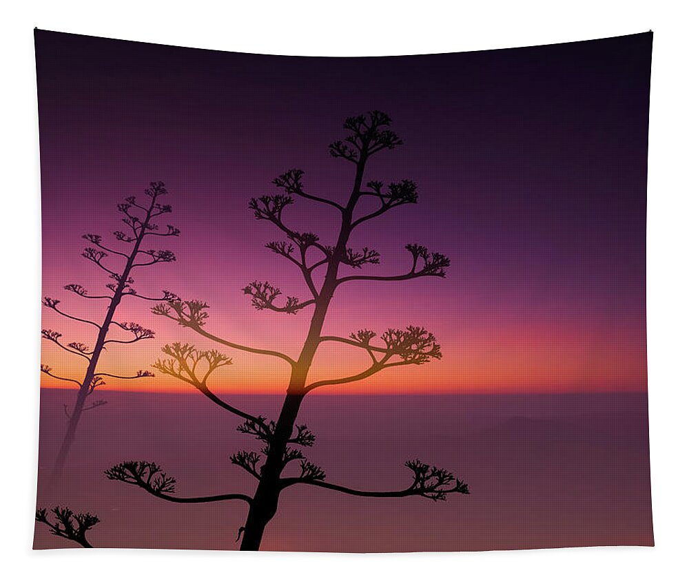 Agave Americana Tapestry featuring the photograph Swan song of an Agave Americana by Gary Browne