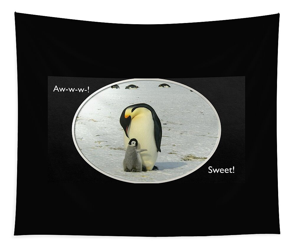 Penguins Tapestry featuring the photograph Sweet Penguins by Nancy Ayanna Wyatt