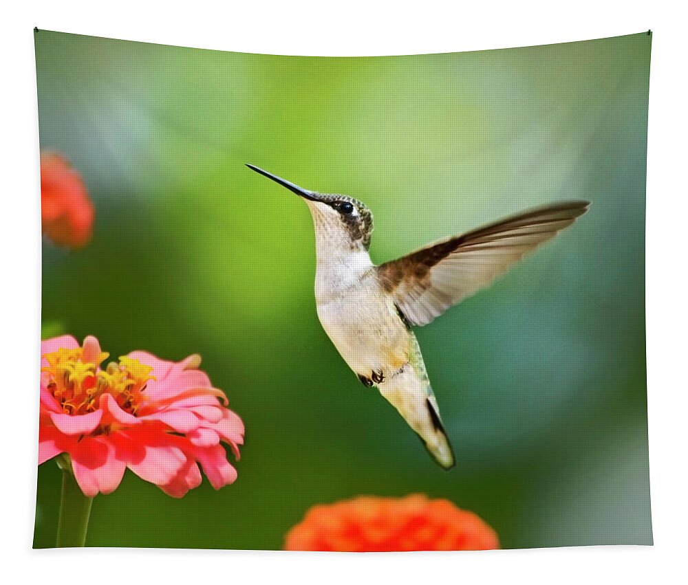 Hummingbirds Tapestry featuring the photograph Sweet Promise Hummingbird Square by Christina Rollo