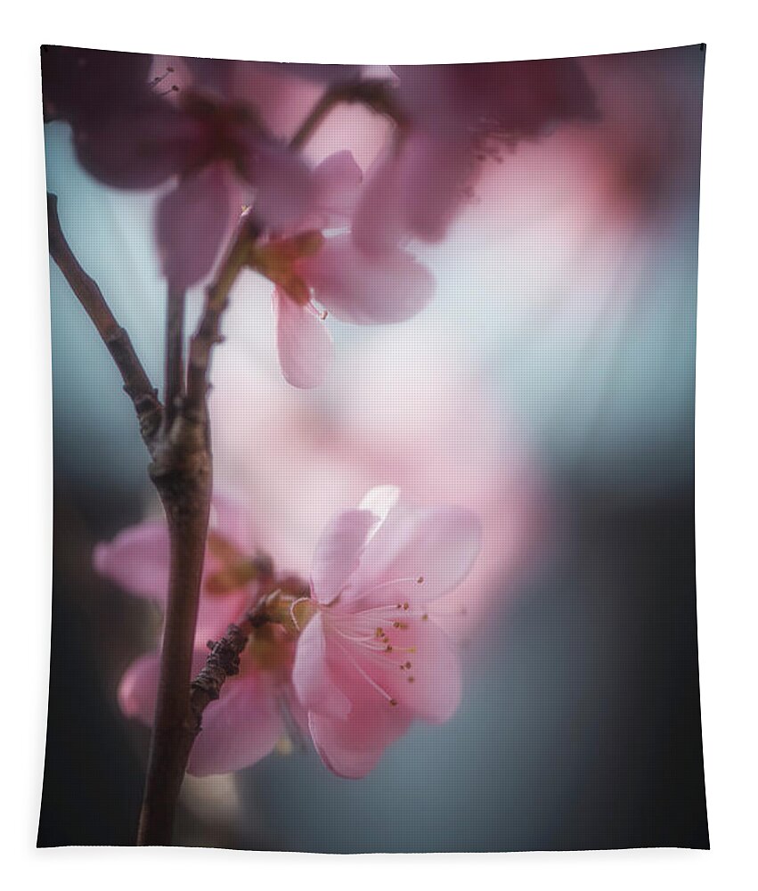 Flowers Tapestry featuring the photograph Sweet Spring by Philippe Sainte-Laudy