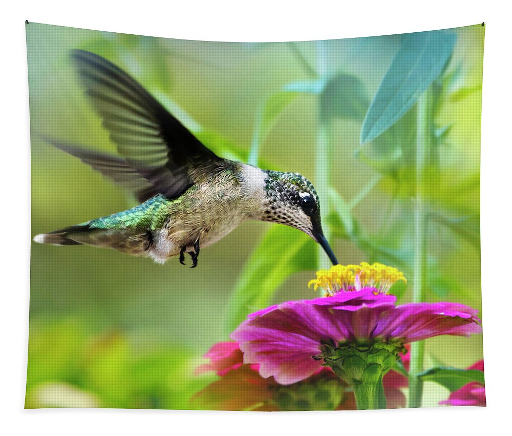 Bird Tapestry featuring the photograph Sweet Success Hummingbird Square by Christina Rollo