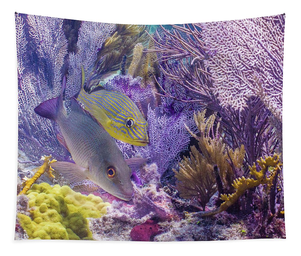 Animals Tapestry featuring the photograph Swim WIth Me by Lynne Browne
