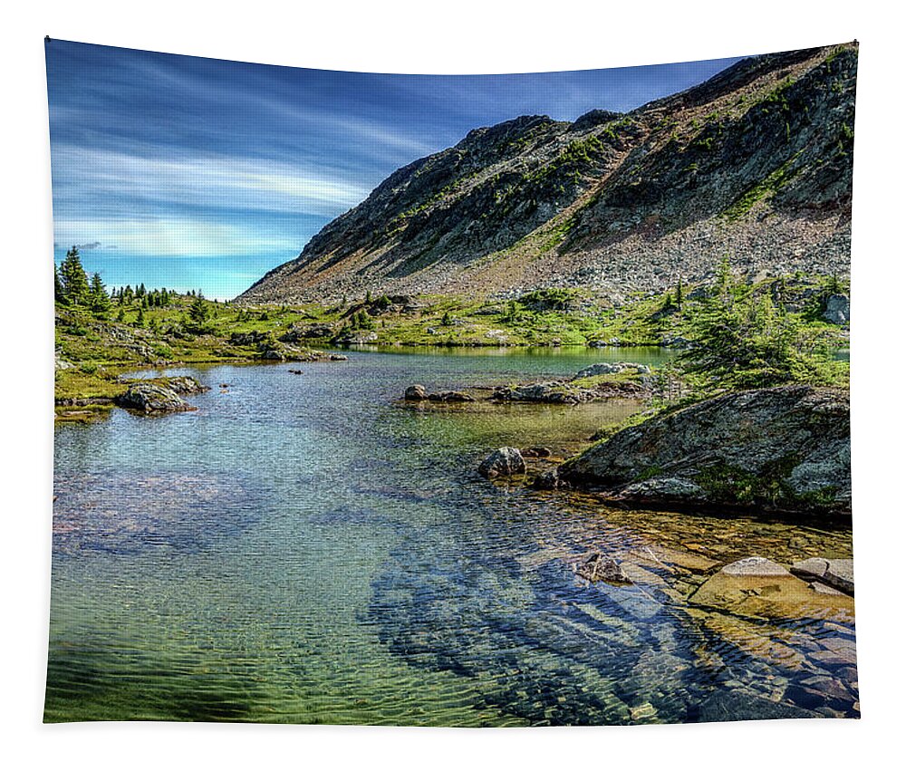Backpacking Tapestry featuring the photograph Swimmers Lake by Larey McDaniel