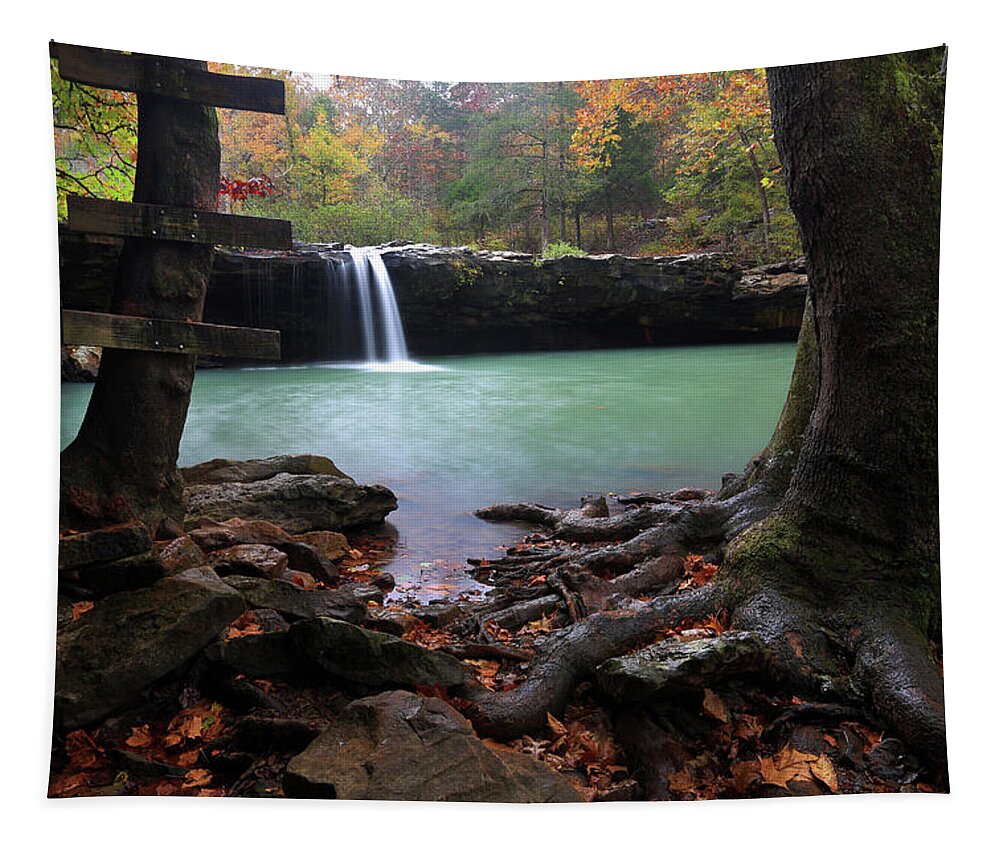  Tapestry featuring the photograph swimming Hole by William Rainey