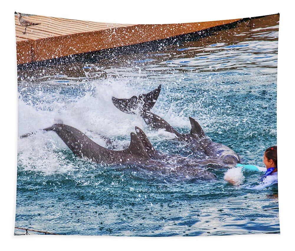 Swimming With Dolphins Tapestry featuring the photograph Swimming with dolphins, Xcaret, Mexico by Tatiana Travelways