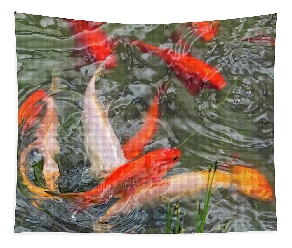 Goldfish Tapestry featuring the photograph Swirling Goldfish by Kathleen Bishop