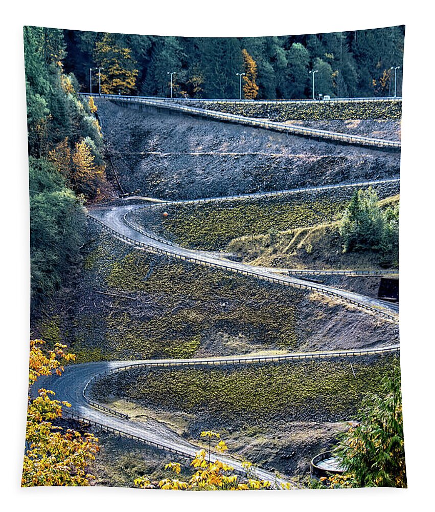 Switchbacks Tapestry featuring the photograph Switchback Road by Cathy Anderson