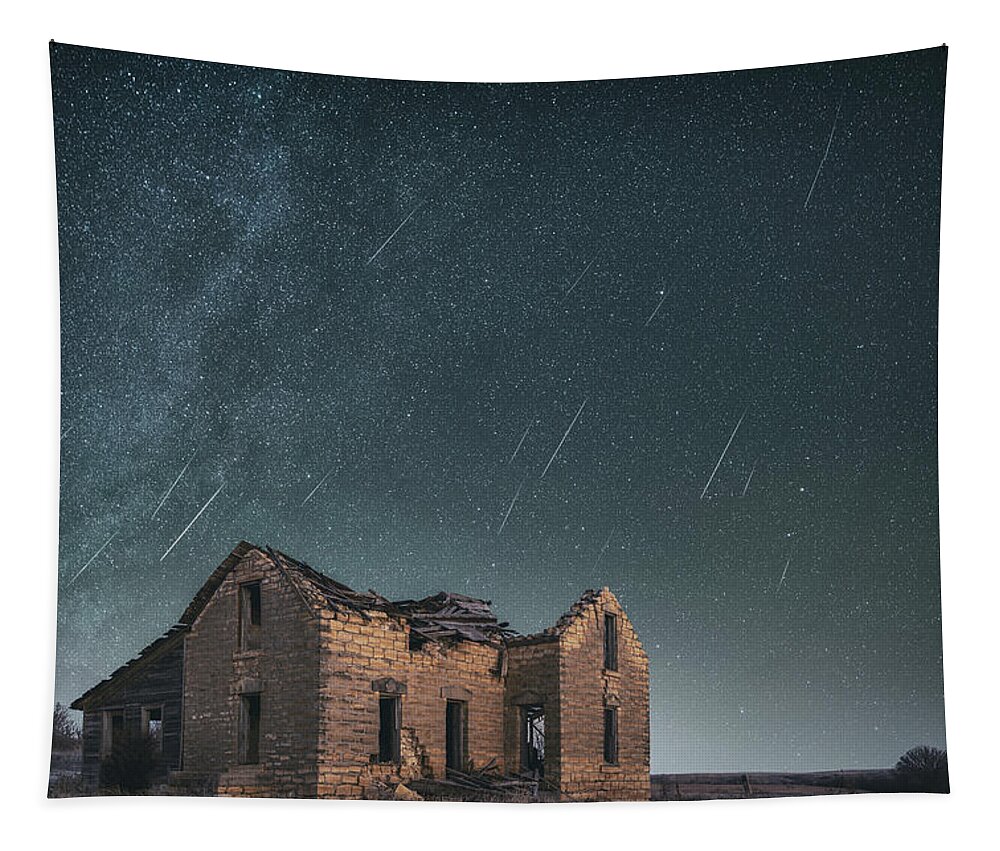 Geminids Tapestry featuring the photograph Sylvan Grove Meteors by Darren White