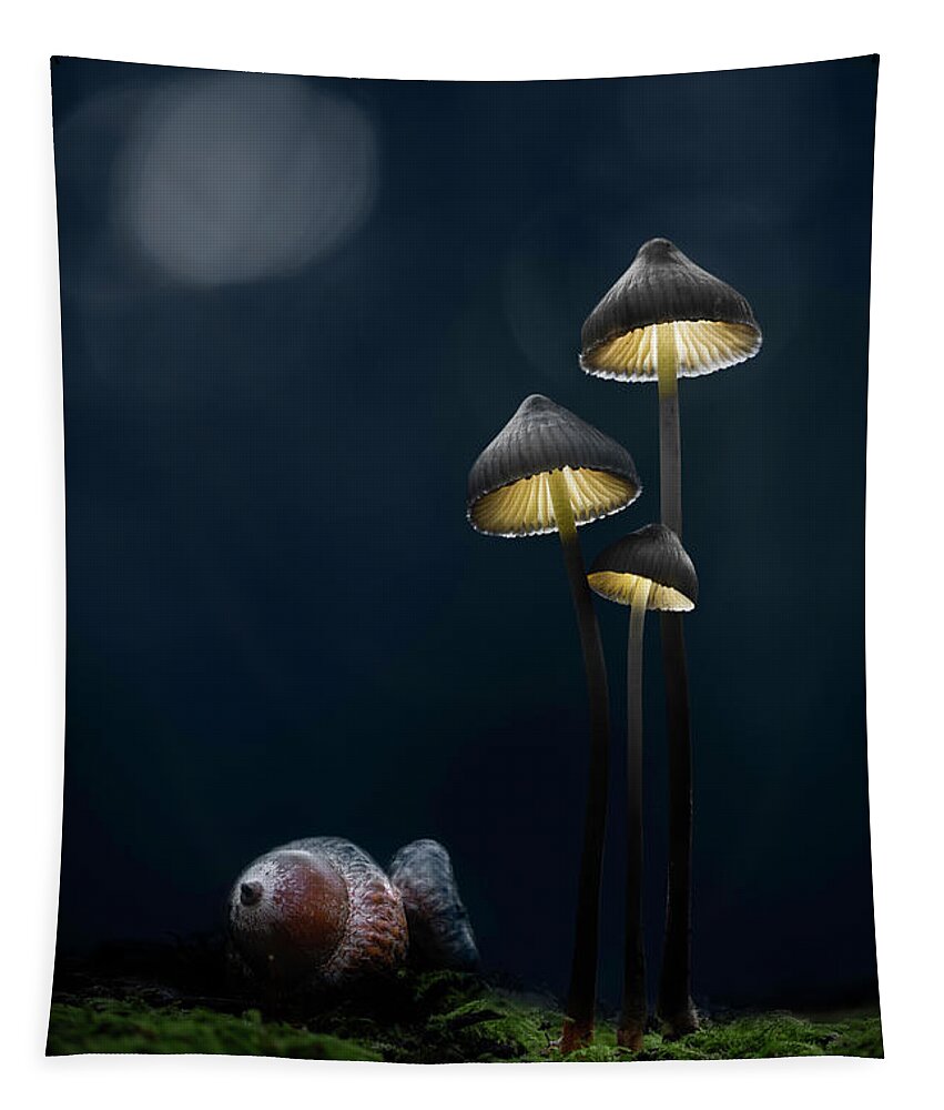 Autumn Tapestry featuring the photograph Taal They Stand Glowing Mushrooms by Dirk Ercken