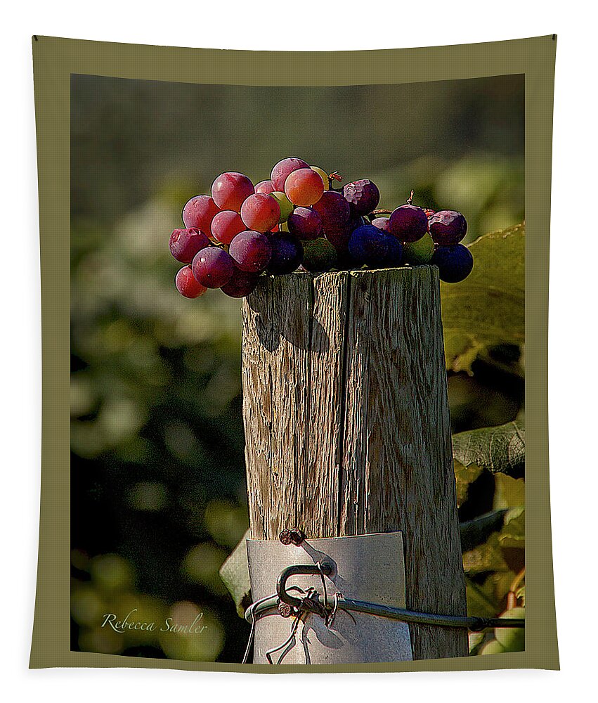 Grapes Tapestry featuring the photograph Table for One by Rebecca Samler