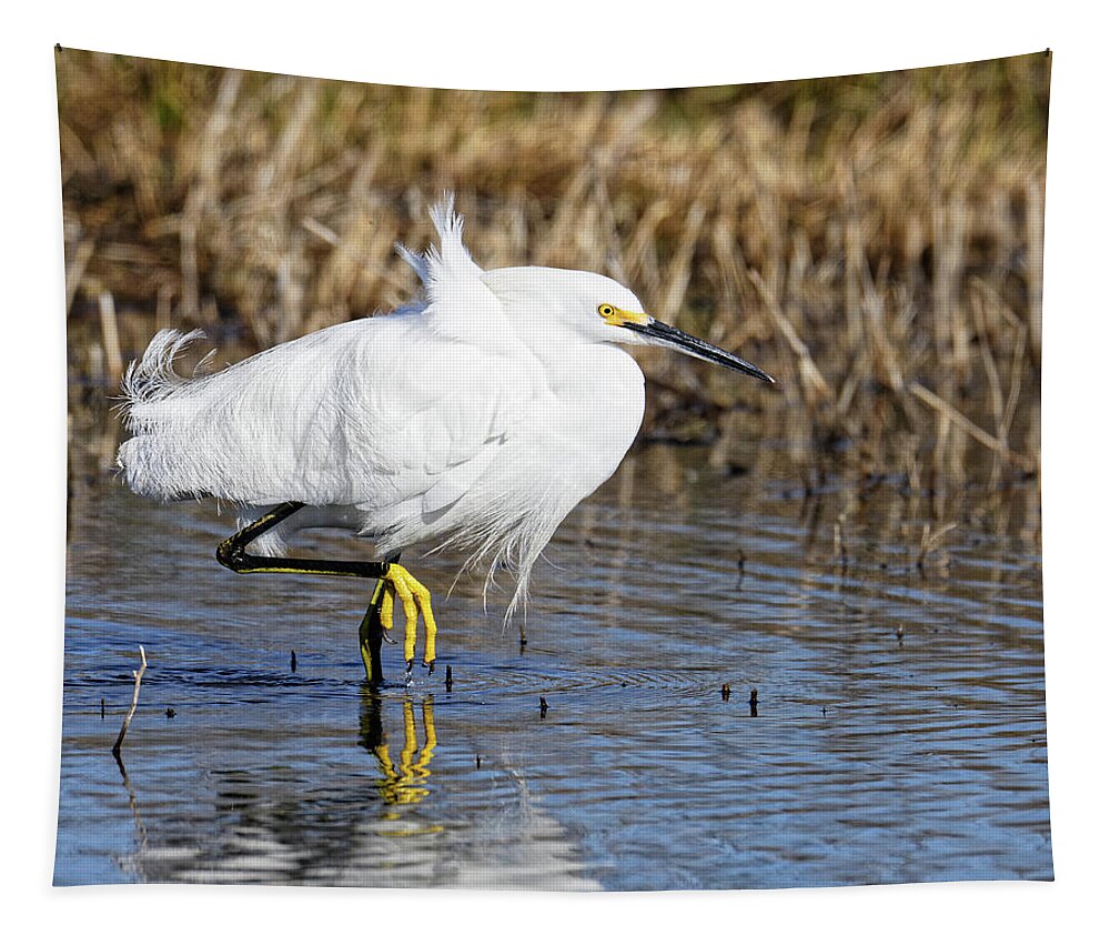 Tailwind Tapestry featuring the photograph Tailwind -- Snowy Egret at San Luis National Wildlife Refuge, California by Darin Volpe