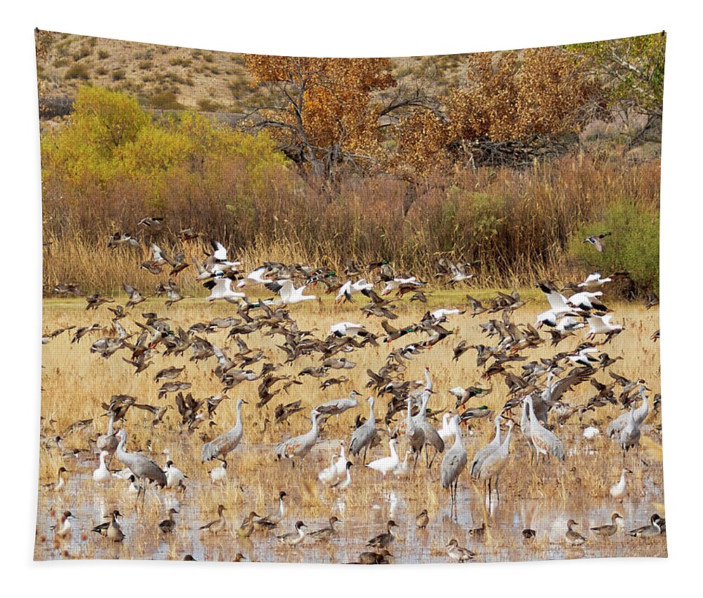 Bosque Del Apache Tapestry featuring the photograph Take Off - Bosque del Apache by Susan Rissi Tregoning