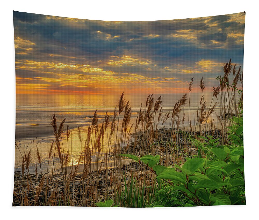 Reeds Tapestry featuring the photograph Tall Grasses of Marginal Way by Penny Polakoff
