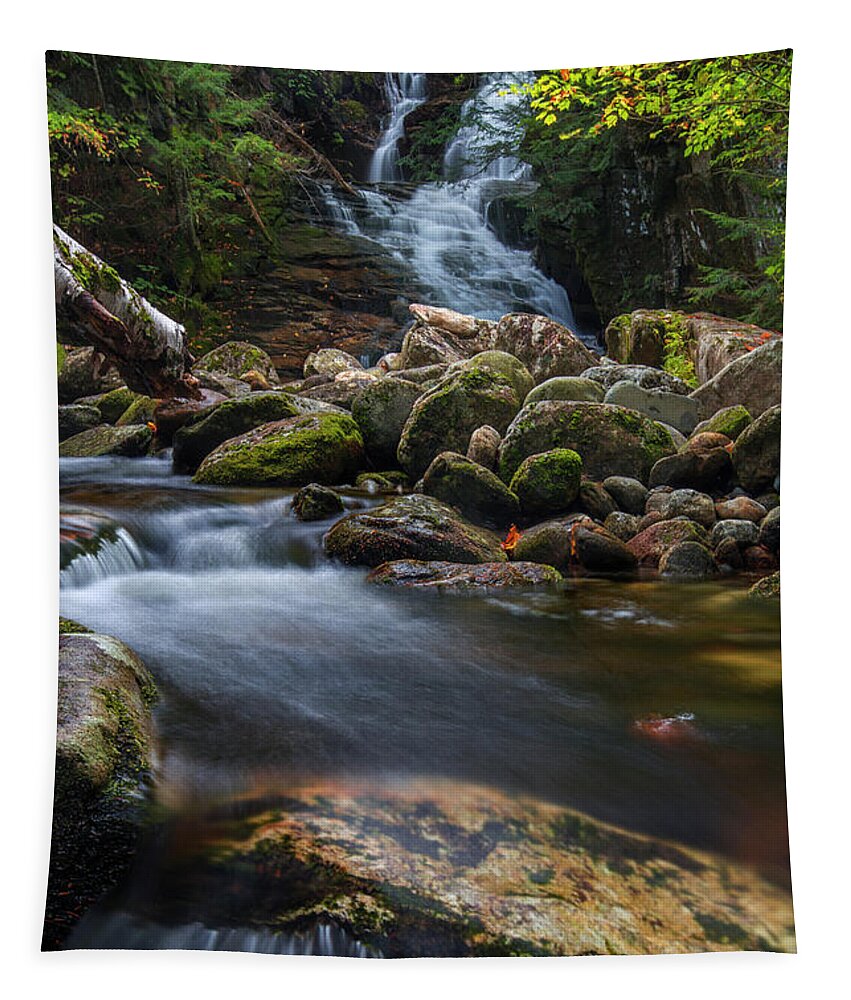 Tama Tapestry featuring the photograph Tama Fall Autumn by White Mountain Images