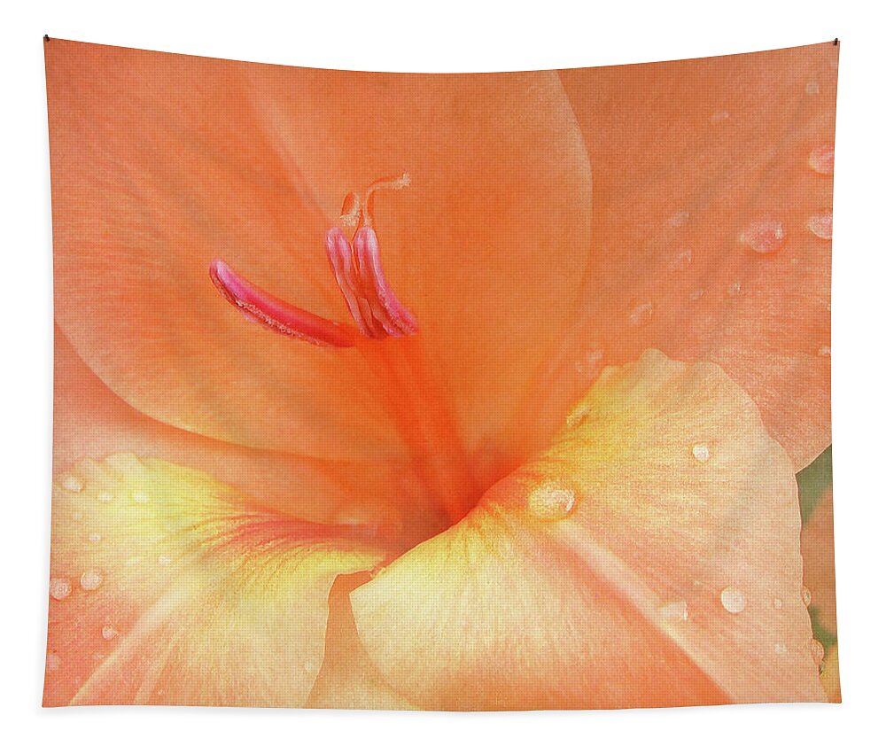 Tangerine Tapestry featuring the photograph Tangerine Gladiola by Kathi Mirto