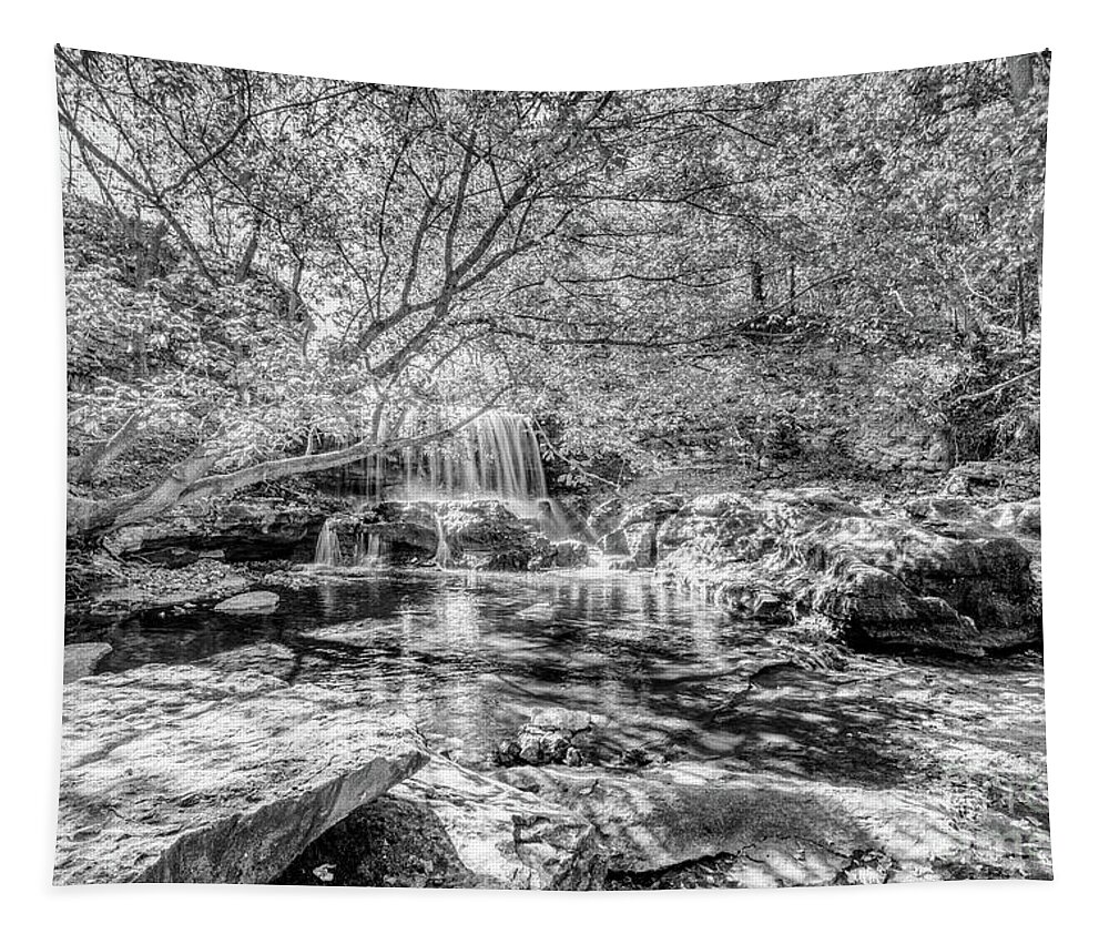 Tanyard Creek Nature Trail Tapestry featuring the photograph Tanyard Creek Waterfall In The Fall Grayscale by Jennifer White