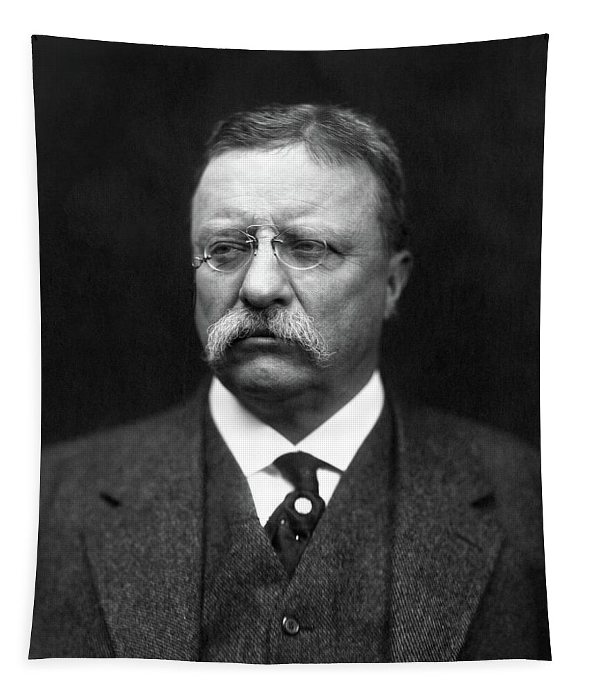 Theodore Roosevelt Tapestry featuring the photograph Teddy Roosevelt by War Is Hell Store