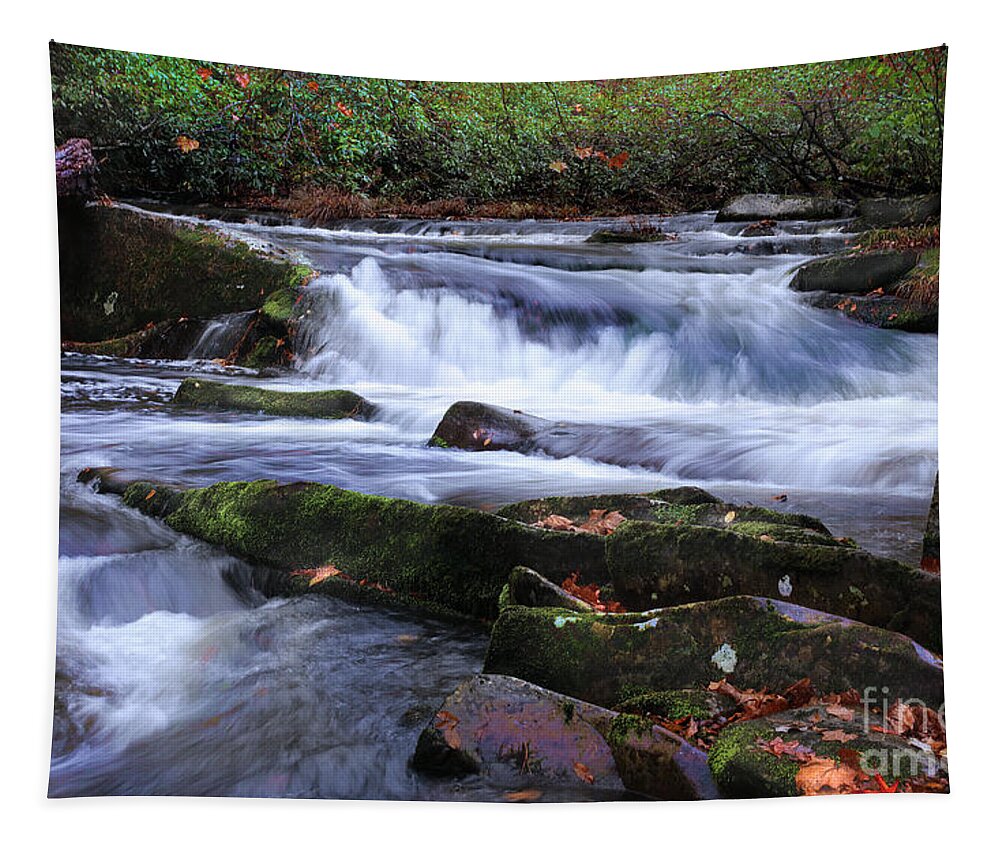 Tellico River Tapestry featuring the photograph Tellico Moment by Rick Lipscomb