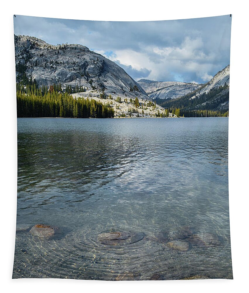 Yosemite National Park Tapestry featuring the photograph Tenaya Lake Portrait by Kyle Hanson