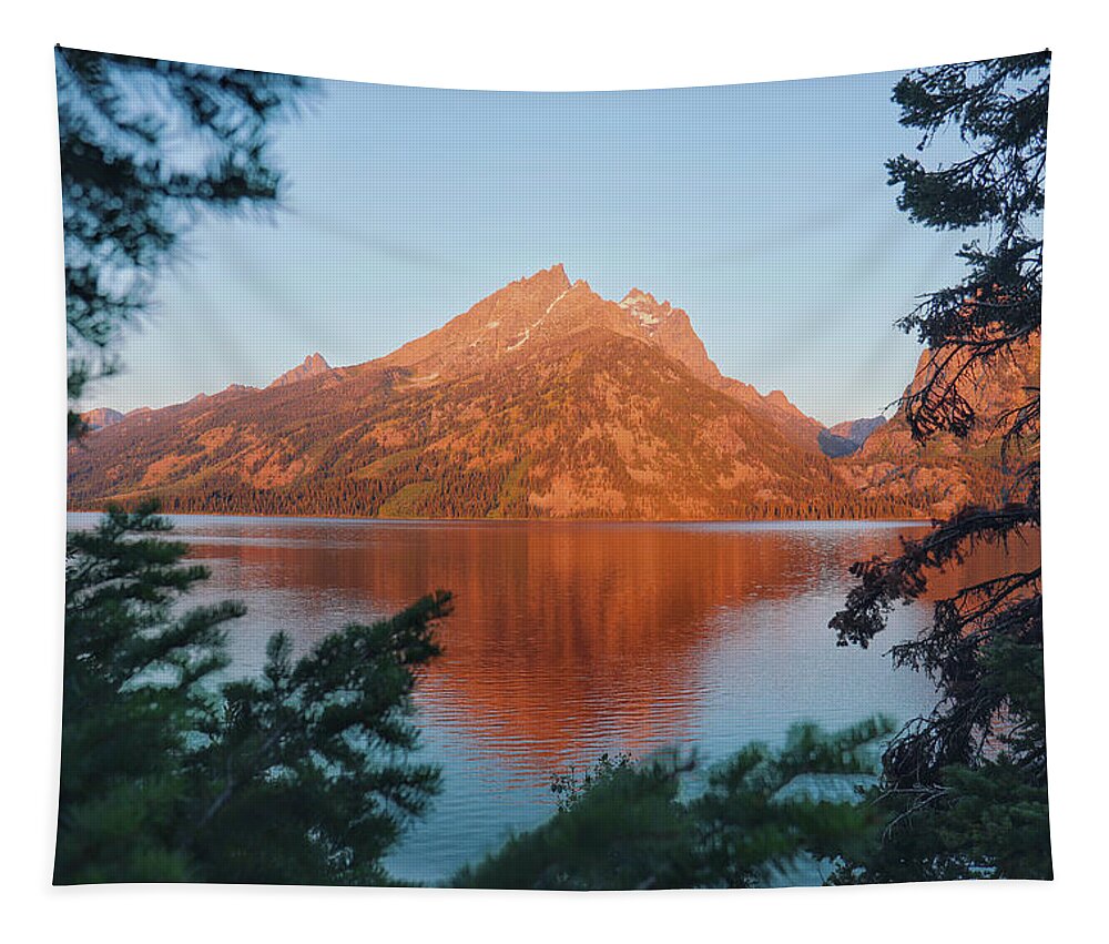 Mountain Tapestry featuring the photograph Teton Morning Delight by Go and Flow Photos
