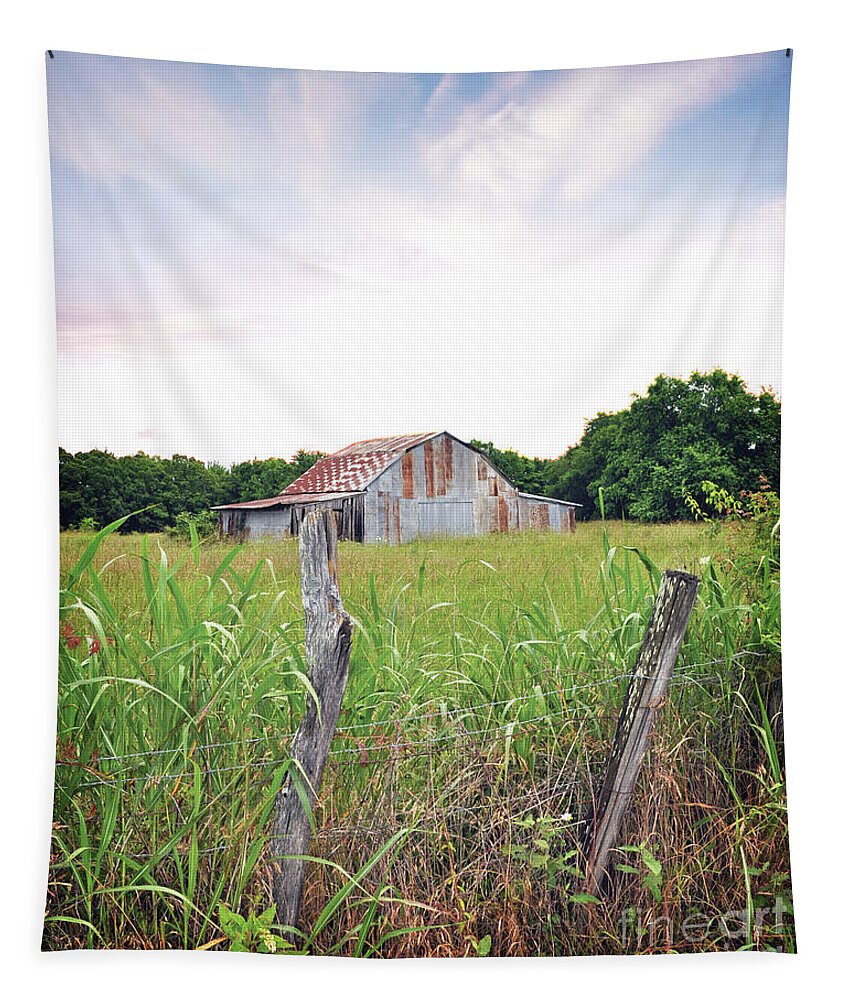 Texas Tapestry featuring the photograph Texas Forgotten - Barn by Chris Andruskiewicz
