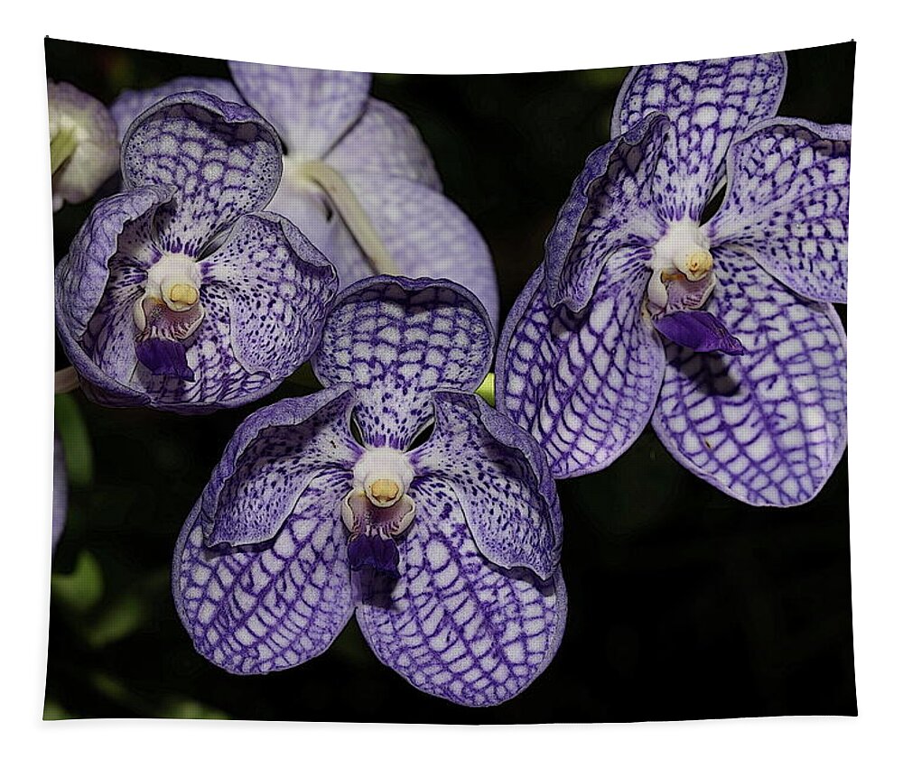 Orchid Tapestry featuring the photograph Textured Orchid Flowers 2 by Mingming Jiang