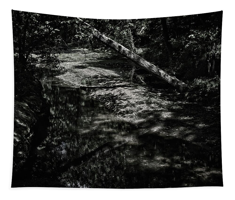 Alabama Tapestry featuring the photograph Textures in the Woods by George Taylor