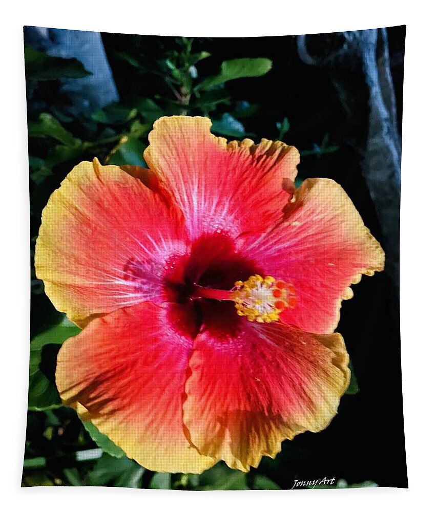 Flowers Tapestry featuring the photograph Thanksgiving Hibiscus by John Anderson