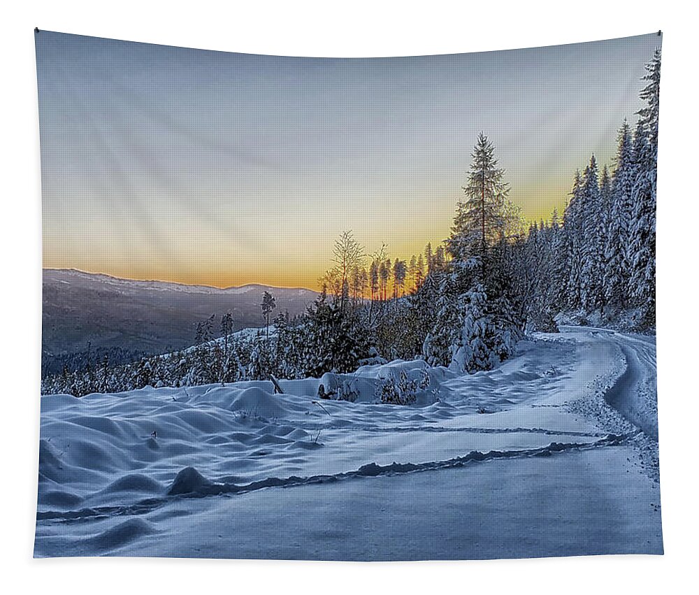Winter Tapestry featuring the photograph The 3 Thousand Road by Debra Baldwin