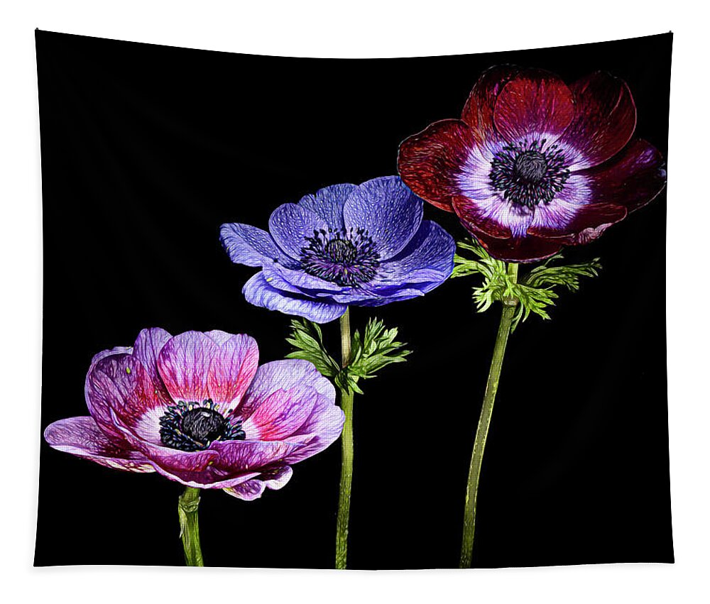Tulip Tapestry featuring the photograph The Anemone Trio by Judi Kubes