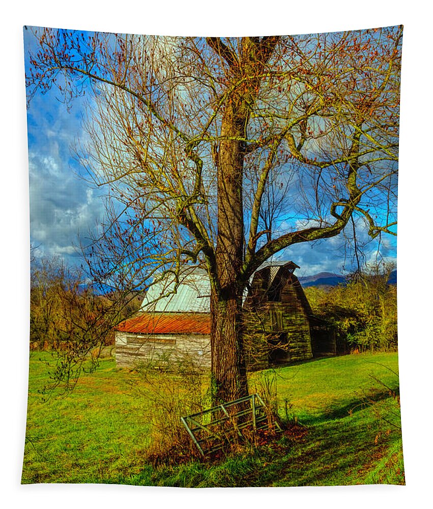 Andrews Tapestry featuring the photograph The Barn Farm Gate by Debra and Dave Vanderlaan