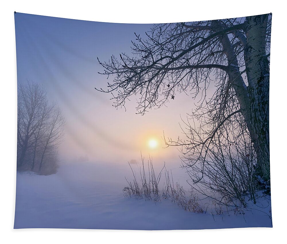 Cold Tapestry featuring the photograph The Beauty of -40 Celsius by Dan Jurak