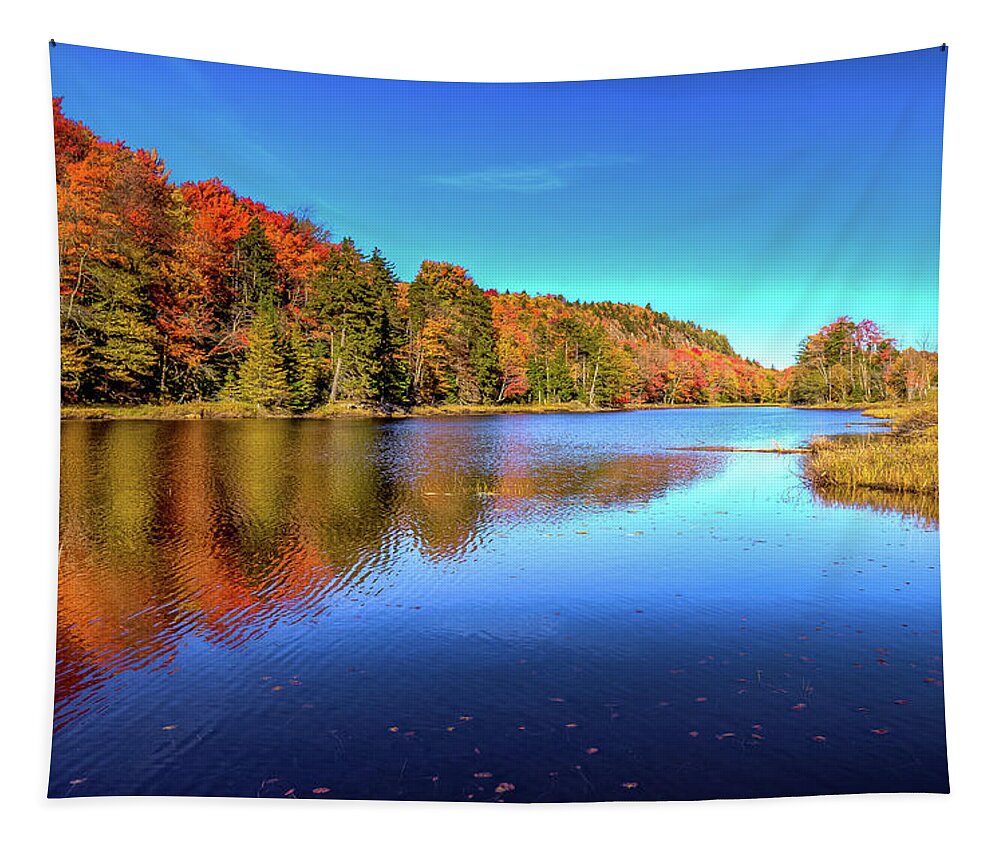 The Beauty Of Bald Mountain Pond Tapestry featuring the photograph The Beauty of Bald Mountain Pond by David Patterson