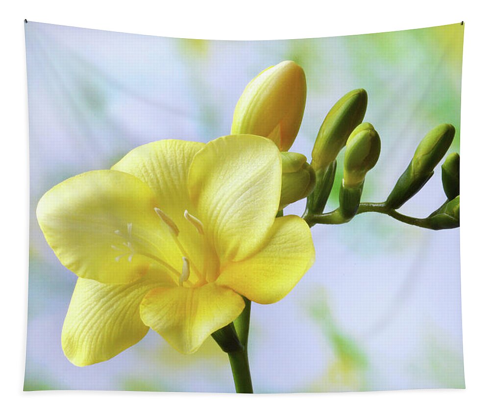 Freesia Tapestry featuring the photograph The Beauty Of Freesia by Terence Davis