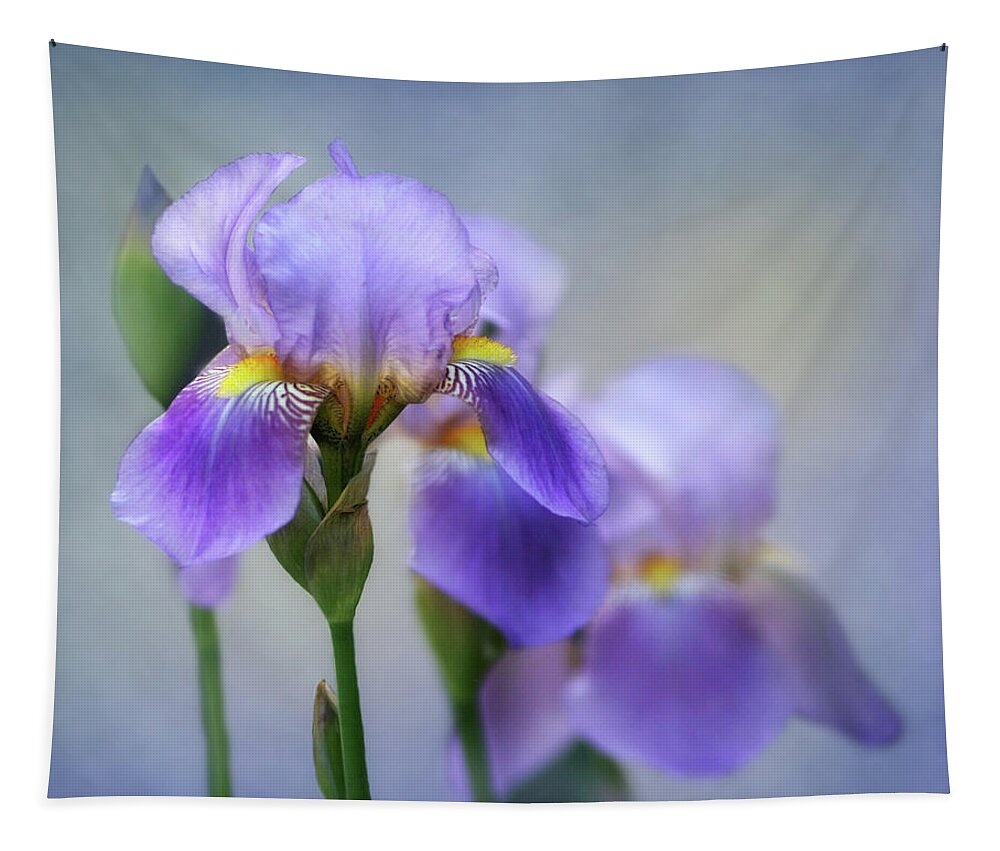 Bearded Iris Tapestry featuring the photograph The Beauty of the Iris by David and Carol Kelly
